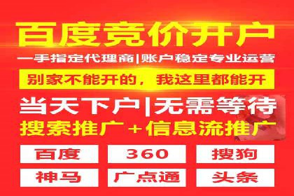 百度竞价广告成功案例：如何实现ROI最大化
